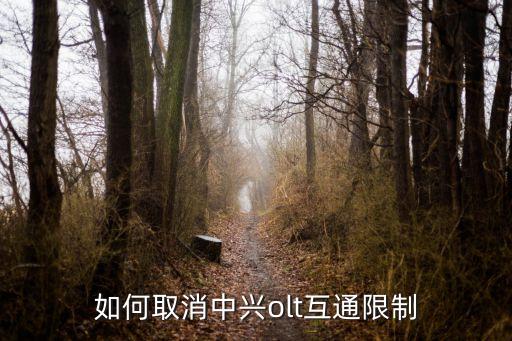 中興olt，中興的olt和onu直接通過跳纖直接連接筆記本直接接到onu上olt