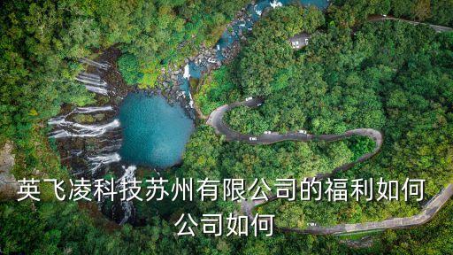 英飛凌科技蘇州有限公司的福利如何 公司如何