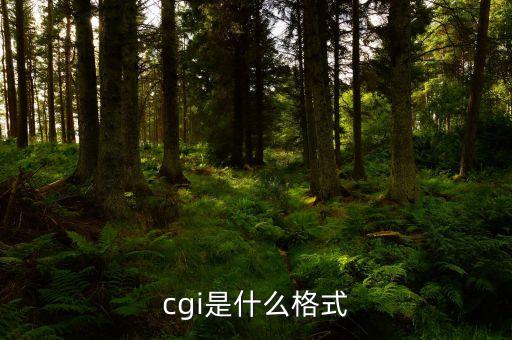 cgi文件，cgi是什么格式