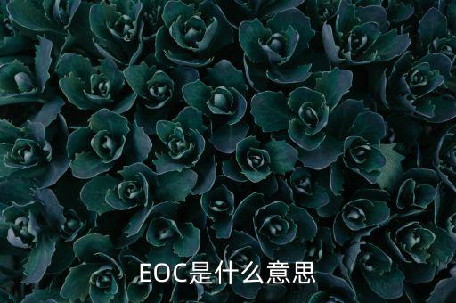 eoc，什么是基帶EOC