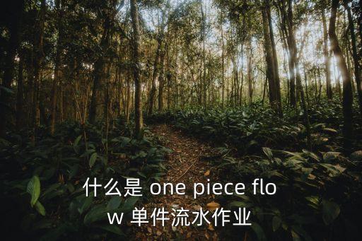 什么是 one piece flow 單件流水作業(yè)