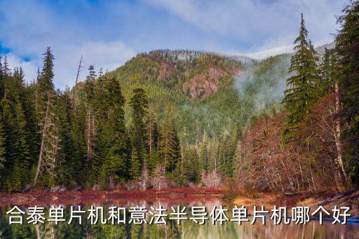 合泰單片機和意法半導體單片機哪個好