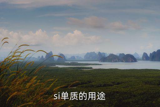 硅單質的用途，硅單質的作用