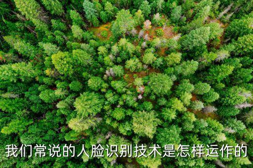 我們常說的人臉識別技術(shù)是怎樣運(yùn)作的