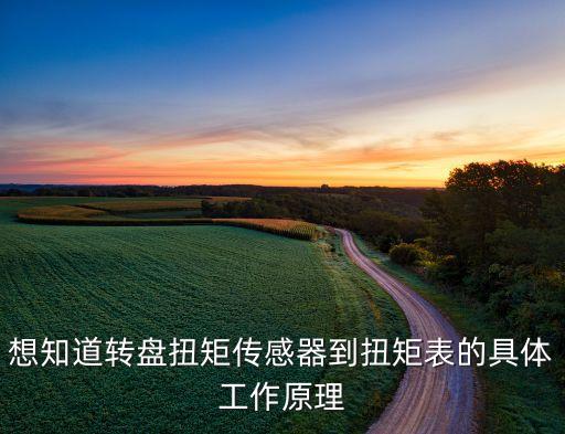 想知道轉(zhuǎn)盤扭矩傳感器到扭矩表的具體工作原理