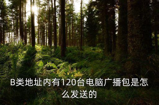 廣播包，什么是廣播數(shù)據(jù)包組廣播數(shù)據(jù)包絕對(duì)廣播數(shù)據(jù)包