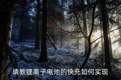 請(qǐng)教鋰離子電池的快充如何實(shí)現(xiàn)