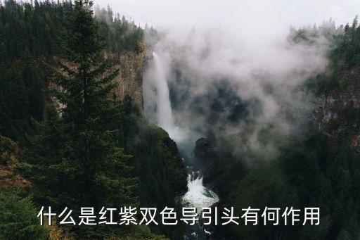 什么是紅紫雙色導(dǎo)引頭有何作用