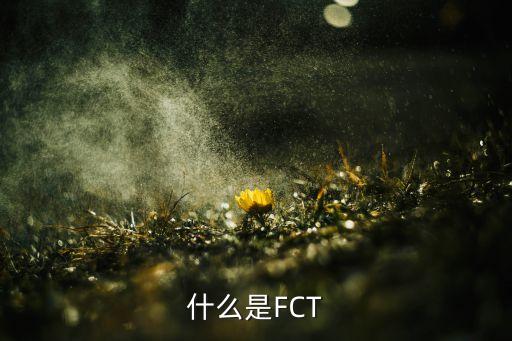 FCT，什么是FCT
