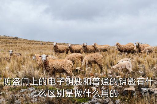 防盜門上的電子鑰匙和普通的鑰匙有什么區(qū)別是做什么用的