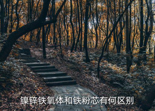 鎳鋅鐵氧體和鐵粉芯有何區(qū)別