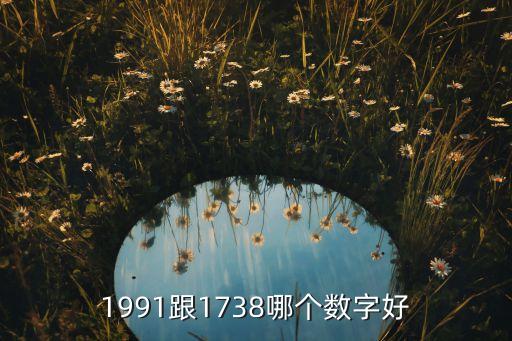 1991跟1738哪個(gè)數(shù)字好