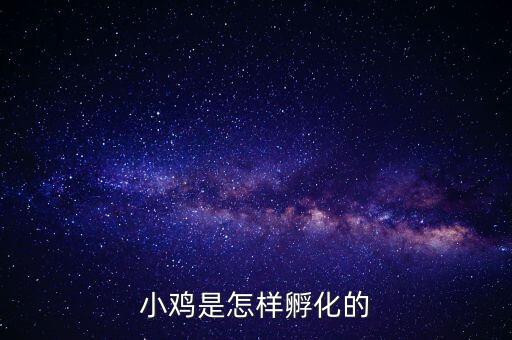 孵化，小雞是怎樣孵化的