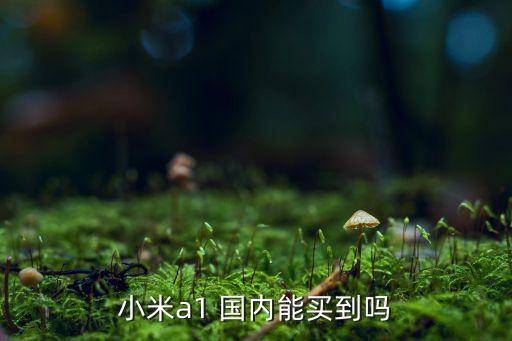 小米a1，小米剛出的那款A(yù)1在不在國內(nèi)上市