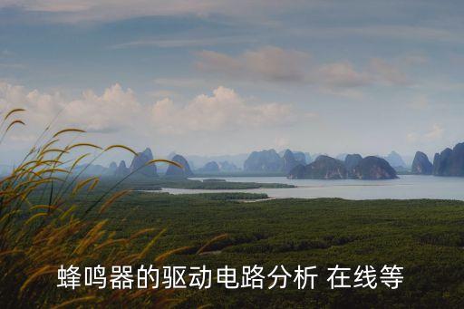 蜂鳴器的驅(qū)動(dòng)電路分析 在線等