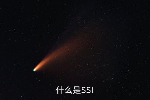 ssi，ssi和csi是什么意思