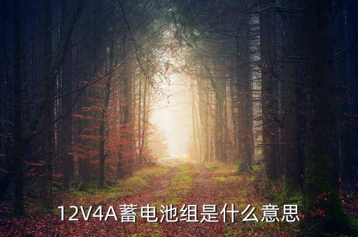 12V4A蓄電池組是什么意思