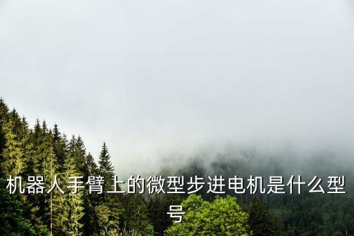 機(jī)器人手臂上的微型步進(jìn)電機(jī)是什么型號(hào)