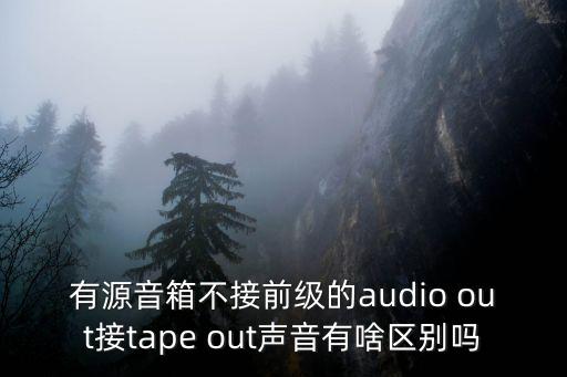 有源音箱不接前級(jí)的audio out接tape out聲音有啥區(qū)別嗎