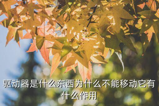 驅(qū)動器的作用，電腦驅(qū)動有什么用