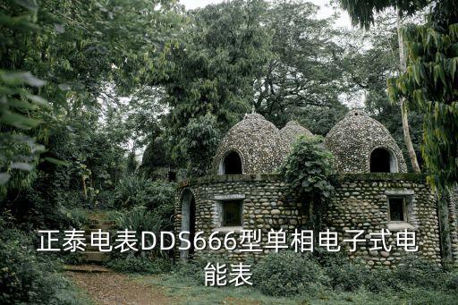 正泰電表DDS666型單相電子式電能表