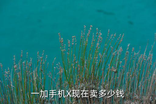 一加x，一加x等于幾