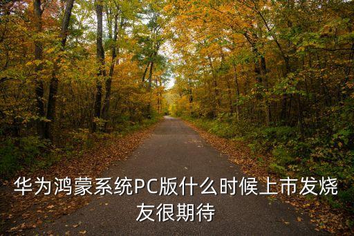 鴻蒙pc系統(tǒng)，華為鴻蒙系統(tǒng)PC版什么時(shí)候上市發(fā)燒友很期待