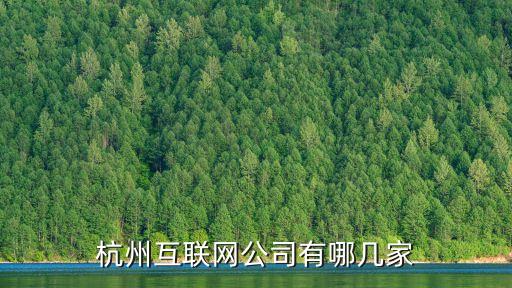 杭州互聯(lián)網(wǎng)公司，杭州互聯(lián)網(wǎng)公司有哪幾家