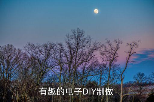 有趣的電子DIY制做