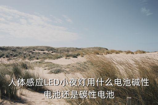 人體感應(yīng)小夜燈，人體感應(yīng)LED小夜燈用什么電池堿性電池還是碳性電池