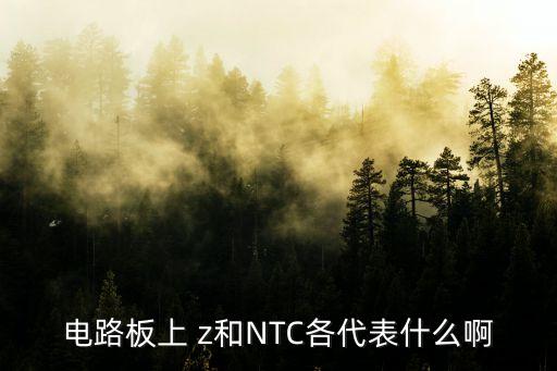 電路板上 z和NTC各代表什么啊
