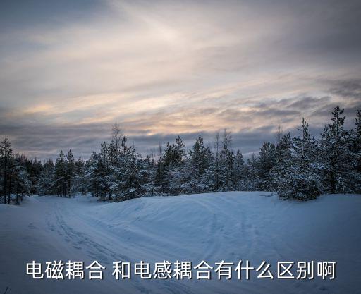 電磁耦合 和電感耦合有什么區(qū)別啊