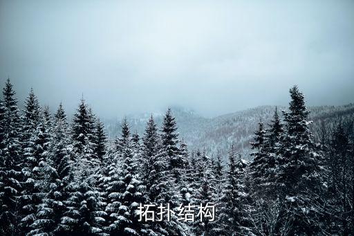 什么是拓撲結(jié)構(gòu)，什么是拓撲結(jié)構(gòu)
