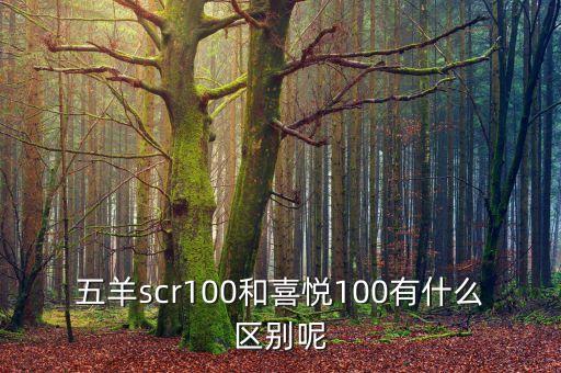 五羊scr100和喜悅100有什么區(qū)別呢