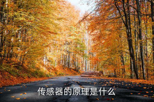 傳感器的原理是什么