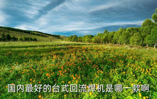 回流焊機(jī)，哪一款臺(tái)式回流焊機(jī)可以做到在線實(shí)時(shí)測(cè)溫