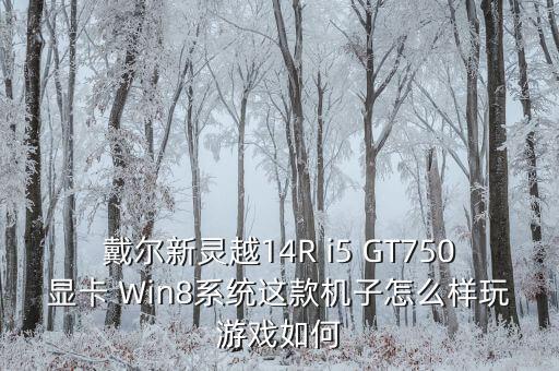 戴爾新靈越14R i5 GT750顯卡 Win8系統(tǒng)這款機(jī)子怎么樣玩游戲如何