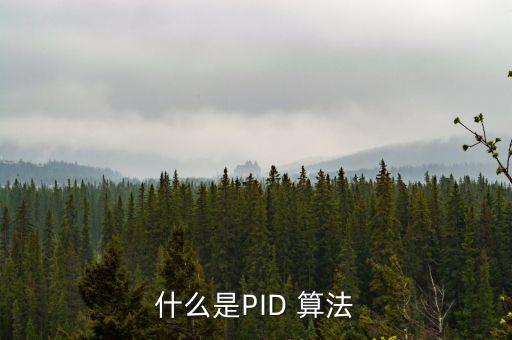 什么是PID 算法