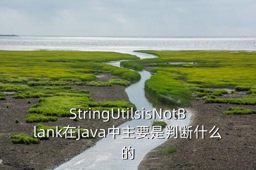 notblank，StringUtilsisNotBlank在java中主要是判斷什么的