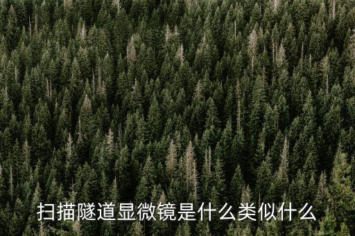 掃描隧道顯微鏡，掃描隧道顯微鏡是什么類似什么