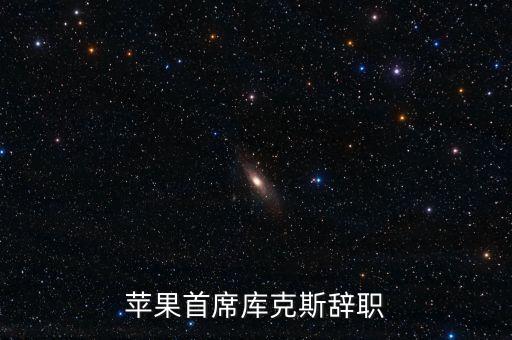 蘋果首席庫克斯辭職
