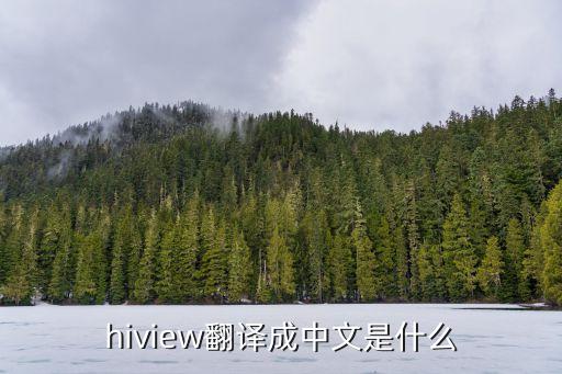 hiview翻譯成中文是什么