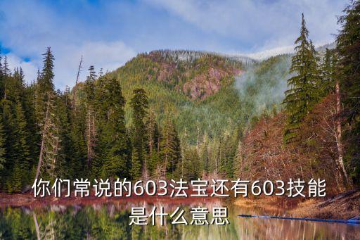 603，什么是603
