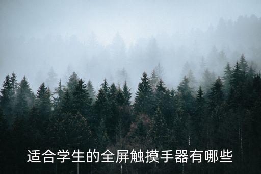 適合學(xué)生的全屏觸摸手器有哪些