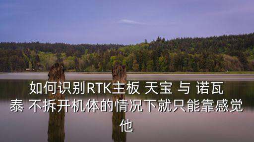 如何識別RTK主板 天寶 與 諾瓦泰 不拆開機體的情況下就只能靠感覺他