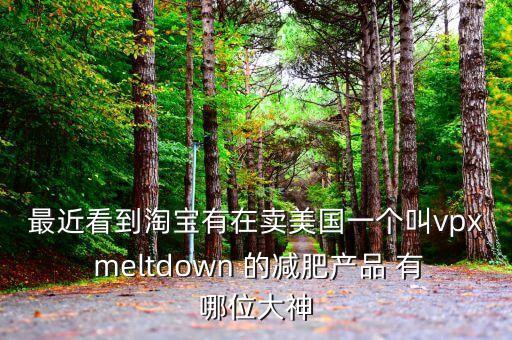 最近看到淘寶有在賣美國(guó)一個(gè)叫vpx meltdown 的減肥產(chǎn)品 有哪位大神