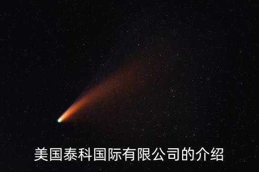 美國泰科國際有限公司的介紹