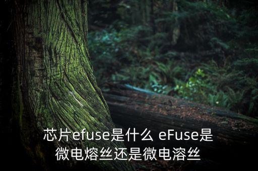 efuse，efuse寫后能擦處嗎