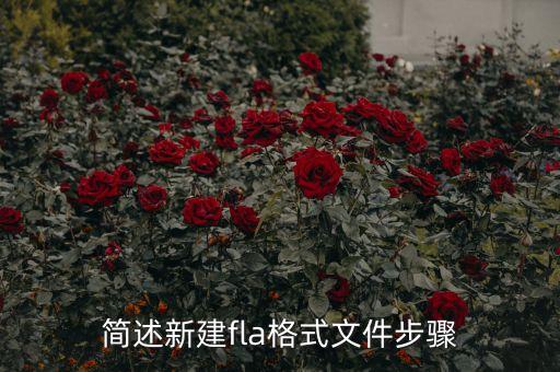簡述新建fla格式文件步驟