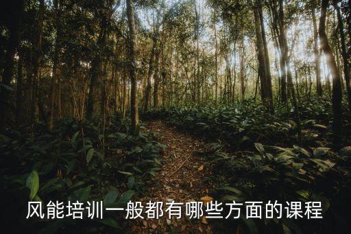 風(fēng)能培訓(xùn)一般都有哪些方面的課程